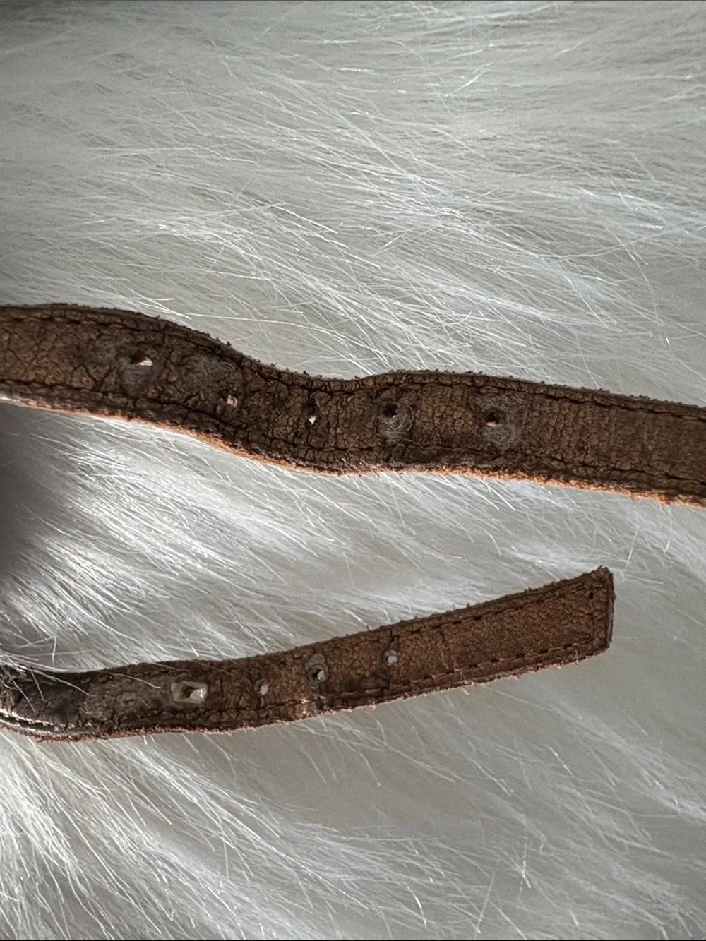 SAM EDELMAN Gigi 💯% Leather T-Strap Sandals (6.5) - Picture 10 of 11